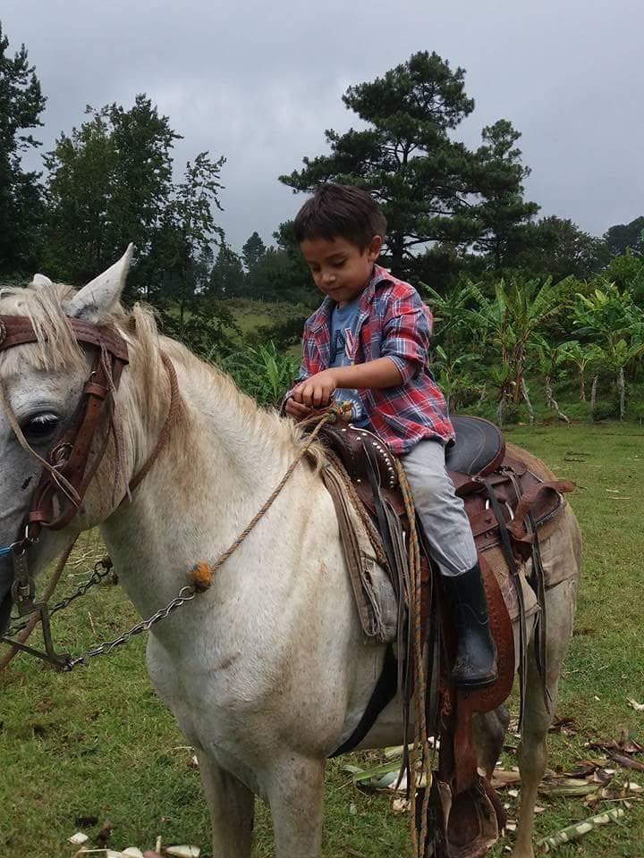 Math on Wheels gallery